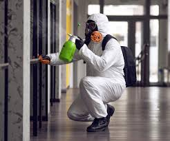 Why You Should Choose Our Mold Remediation Services in Gholson, TX